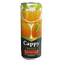 CAPPY BAHÇE PORTAKALLI İÇECEK