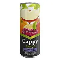CAPPY BAHÇE KARIŞIK MEYVE NEKTARI İÇECEK