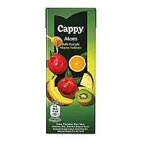 CAPPY ATOM KARIŞIK MEYVE SUYU 200 ML