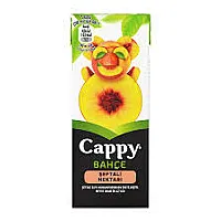 CAPPY BAHÇE ŞEFTALİ NEKTARI AROMALI MEYVE SUYU 200 ML
