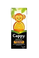 CAPPY BAHÇE PORTAKAL NEKTARI AROMALI MEYVE SUYU 200 ML