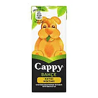 CAPPY BAHÇE KAYISI NEKTARI AROMALI MEYVE SUYU 200 ML