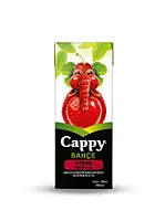 CAPPY BAHÇE VİŞNE NEKTARI AROMALI MEYVE SUYU 200 ML