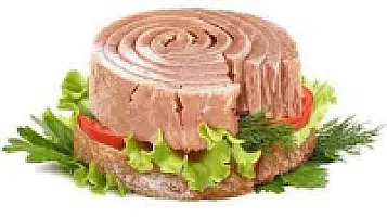 TON BALIK ( PİZZA İLAVE )