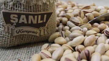 Antep  Fıstığı 500 gr