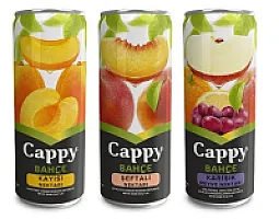 Cappy Kutu Meyve Suyu