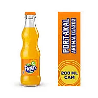 Fanta Şişe 200 ml