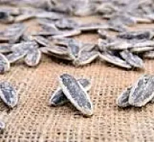 Tuzlu Çekirdek 500 gr