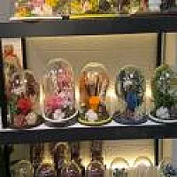 Cam Fanus Işıklı Arajman