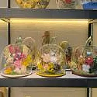 Cam Fanus Işıklı Arajman