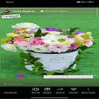 Kutu Çiçek Arajman