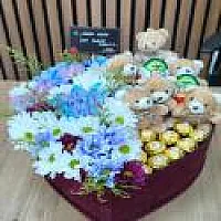 Aden Ayıcıklı Çikolatalı Özel