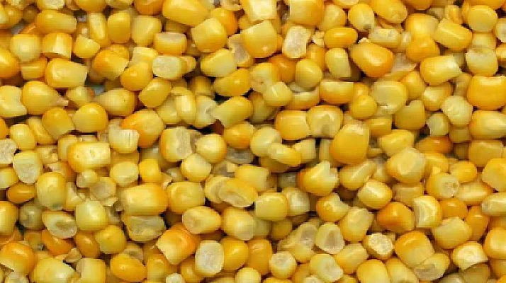 Mısır